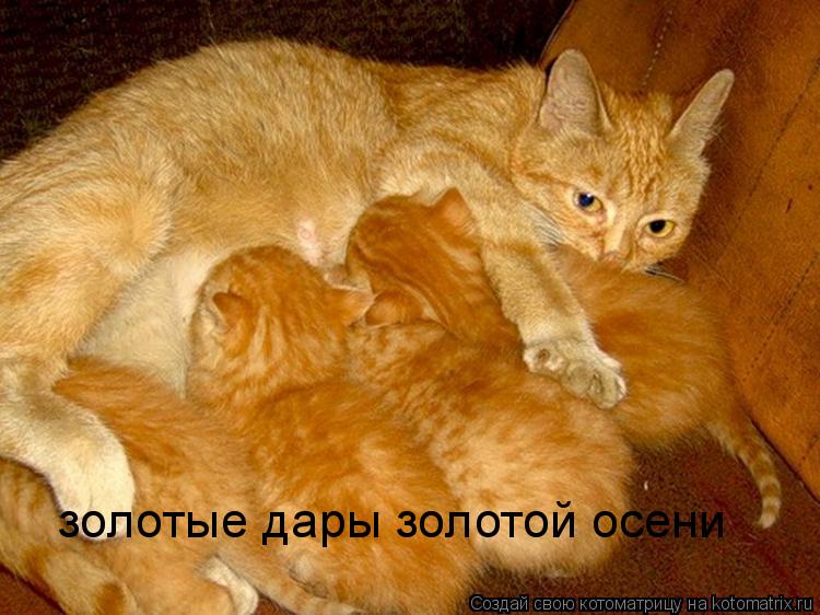 http://filed3-27.my.mail.ru/pic?url=http%3A%2F%2Fkotomatrix.ru%2Fimages%2Flolz%2F2008%2F10%2F04%2Fzb.jpg&amp;mw=&amp;mh=&amp;sig=1d748adc5014d6bcfd02fe0ae12673fa